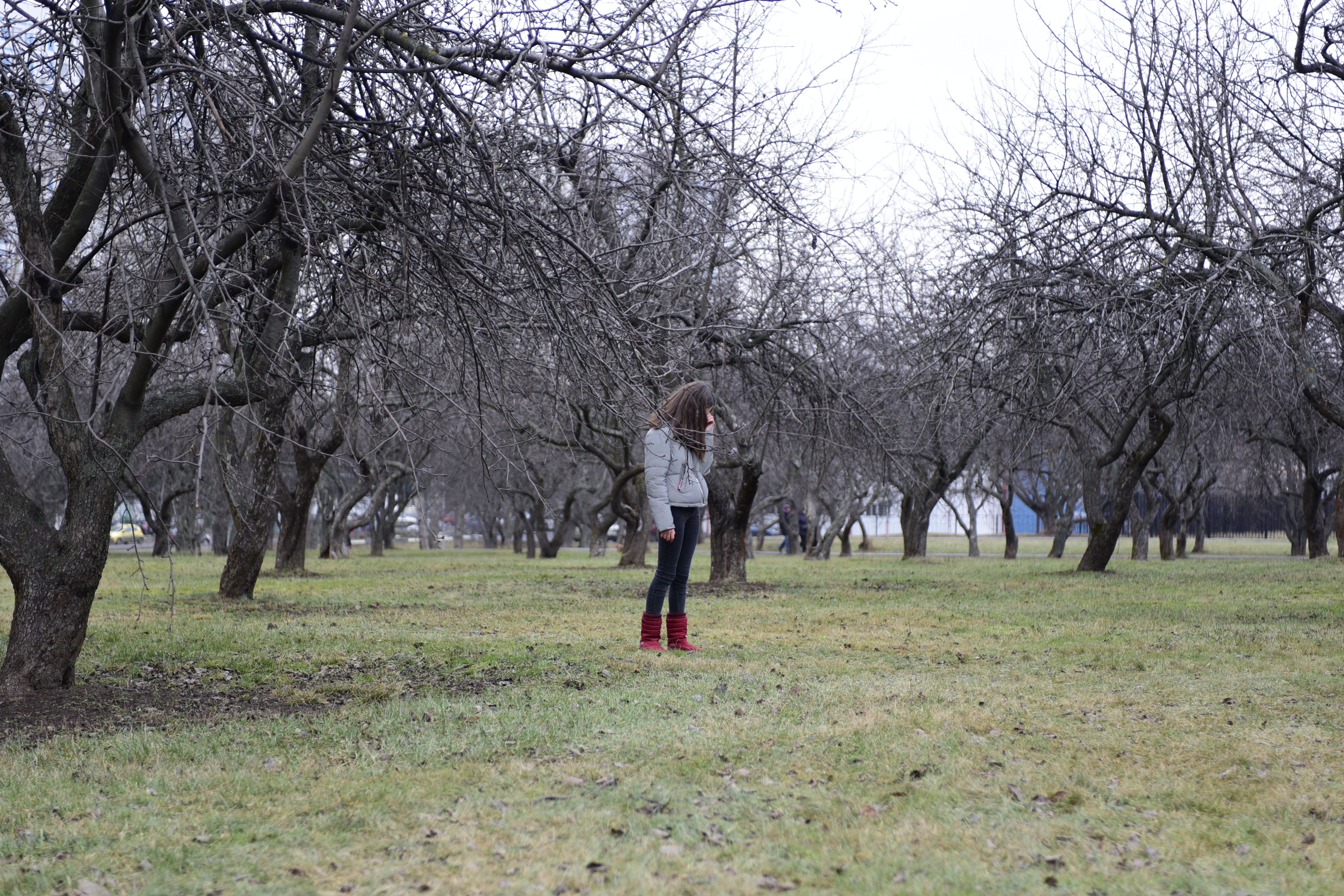 Жителей Москвы и Подмосковья предупредили о дымке и гололеде