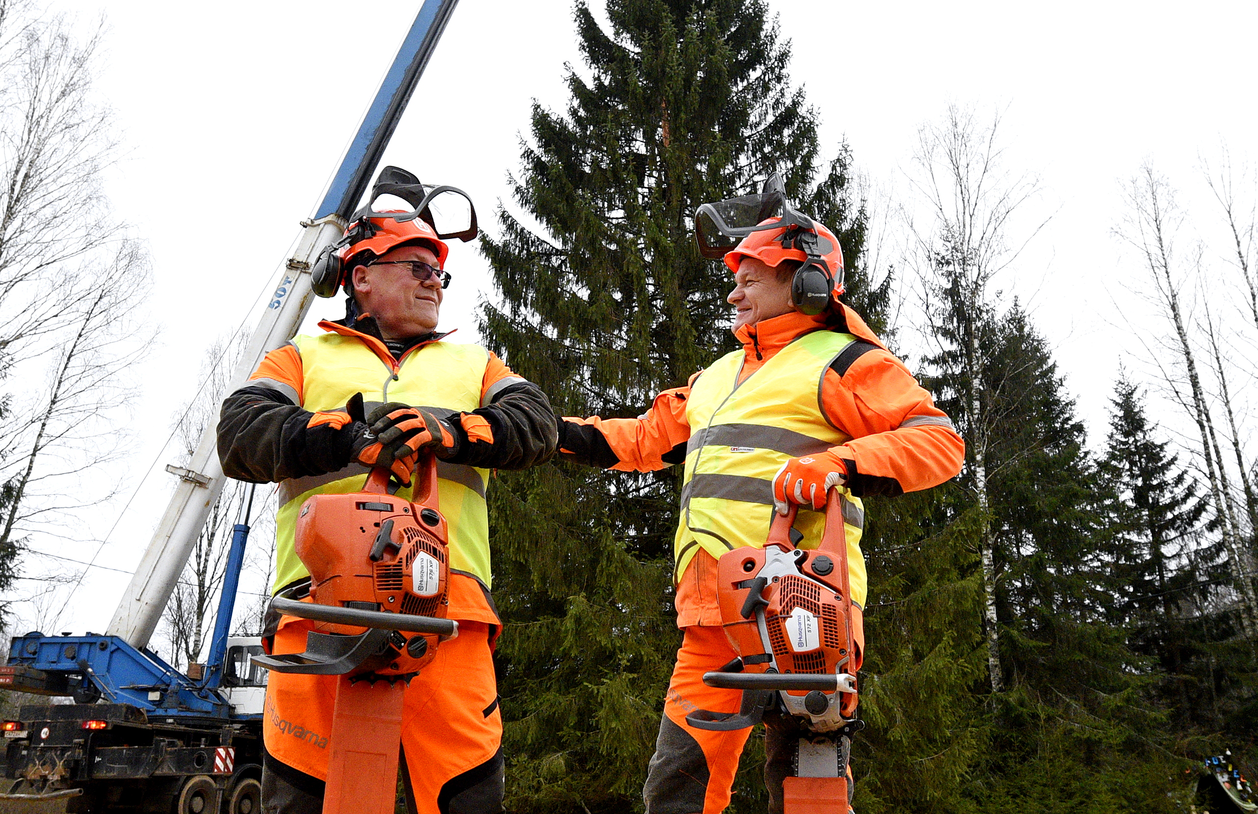 Владимир Богданов (слева) и Владимир Гузненков в Можайском городском округе собираются спиливать елку, которая украсит Соборную площадь