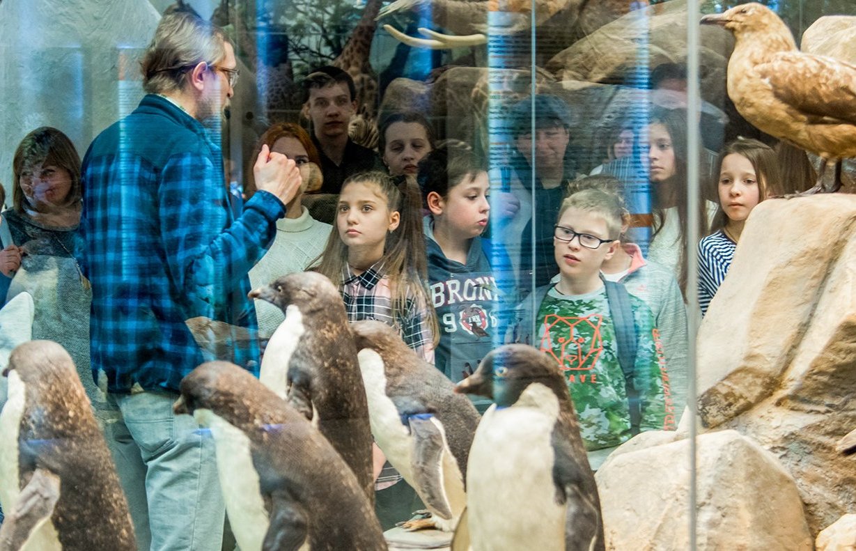 Более 80 музеев Москвы будут бесплатно работать в новогодние каникулы 