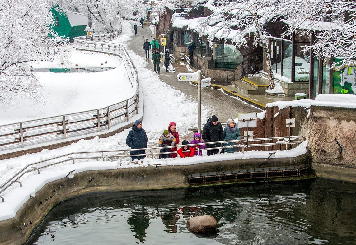 Московский зоопарк подготовил для горожан новогоднюю программу