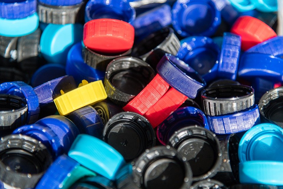 Экологическая грамотность поможет сохранить природу, а значит — и планету