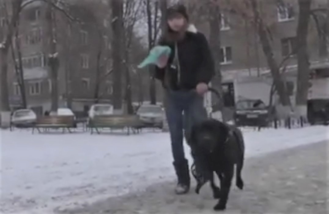 Незрячую девушку с собакой-поводырем выгнали из кафе в Башкирии