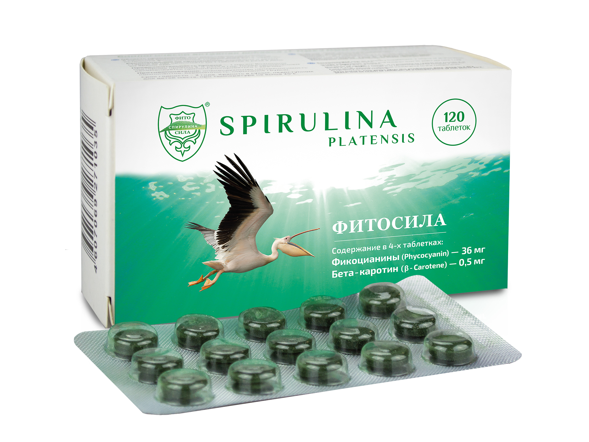 Микроводоросль спасает мир: исследователи продолжают изучать свойства спирулины