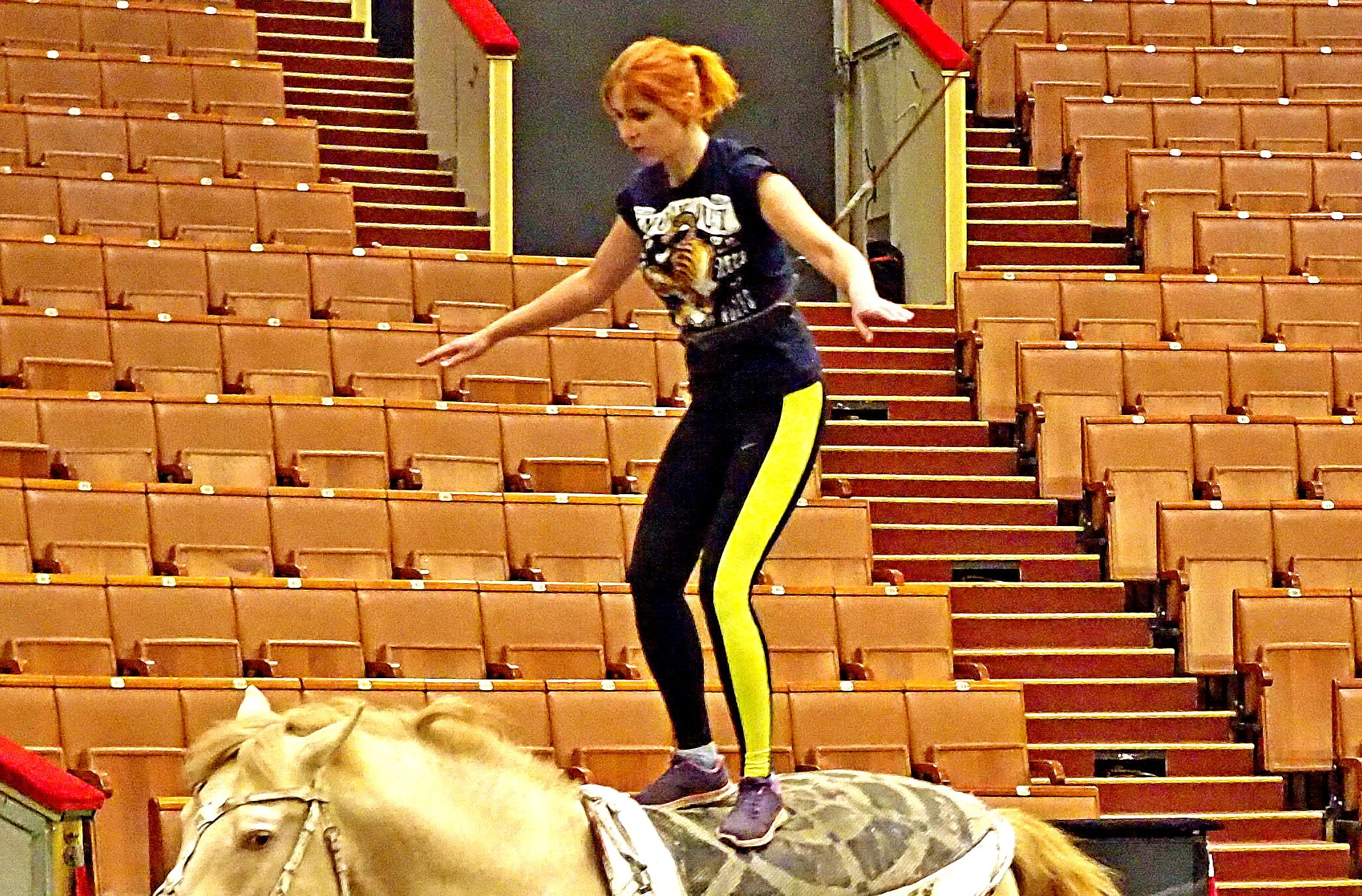 Корреспондент «ВМ» Дарья Пиотровская балансирует на спине циркового скакуна Пети. Трюк базовый, но для неподготовленного человека он достаточно сложен