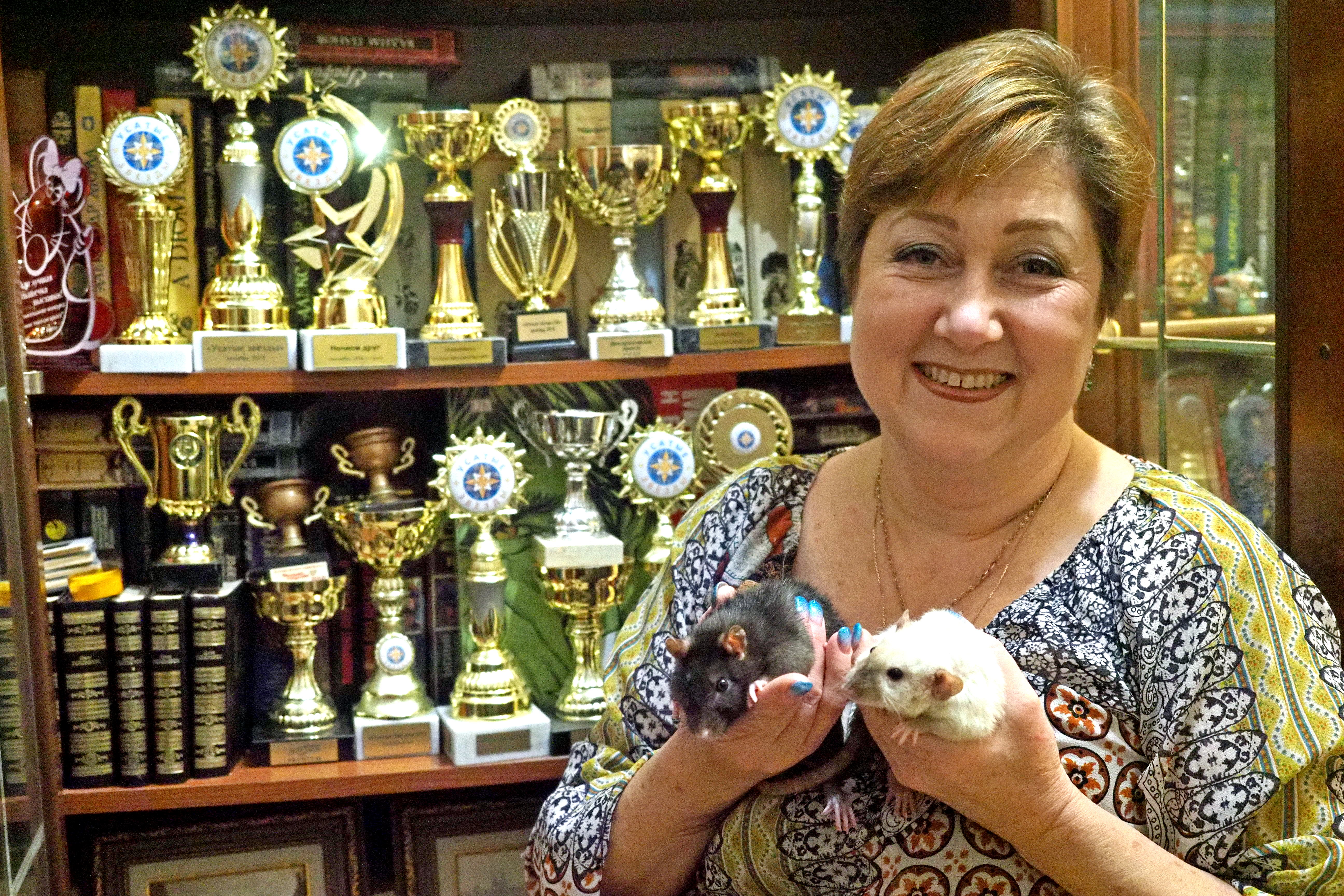 Многие питомцы Елены Будниковой — победители выставки декоративных крыс и других мелких домашних животных «Усатые звезды». Елена гордится ими по праву