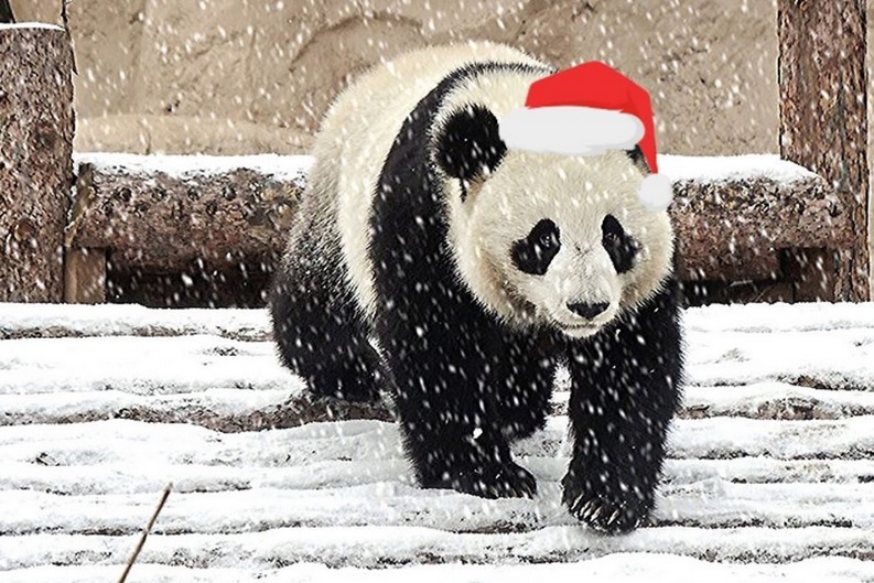 Московский зоопарк зимой