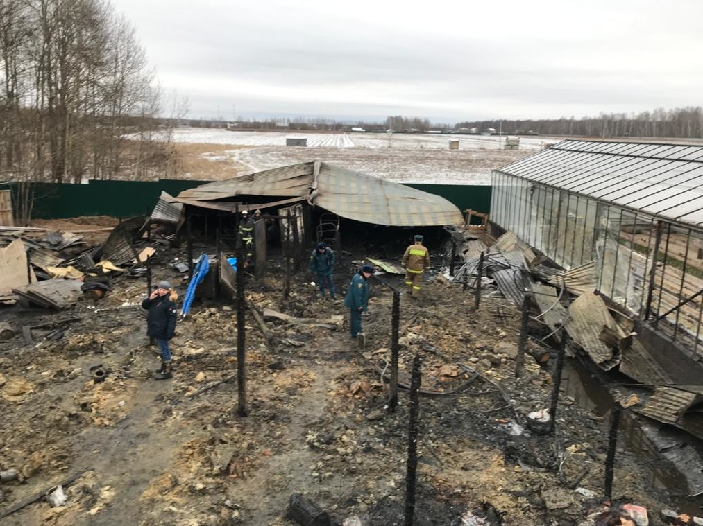 Стало известно о состоянии пострадавшей при пожаре в бытовках в Подмосковье