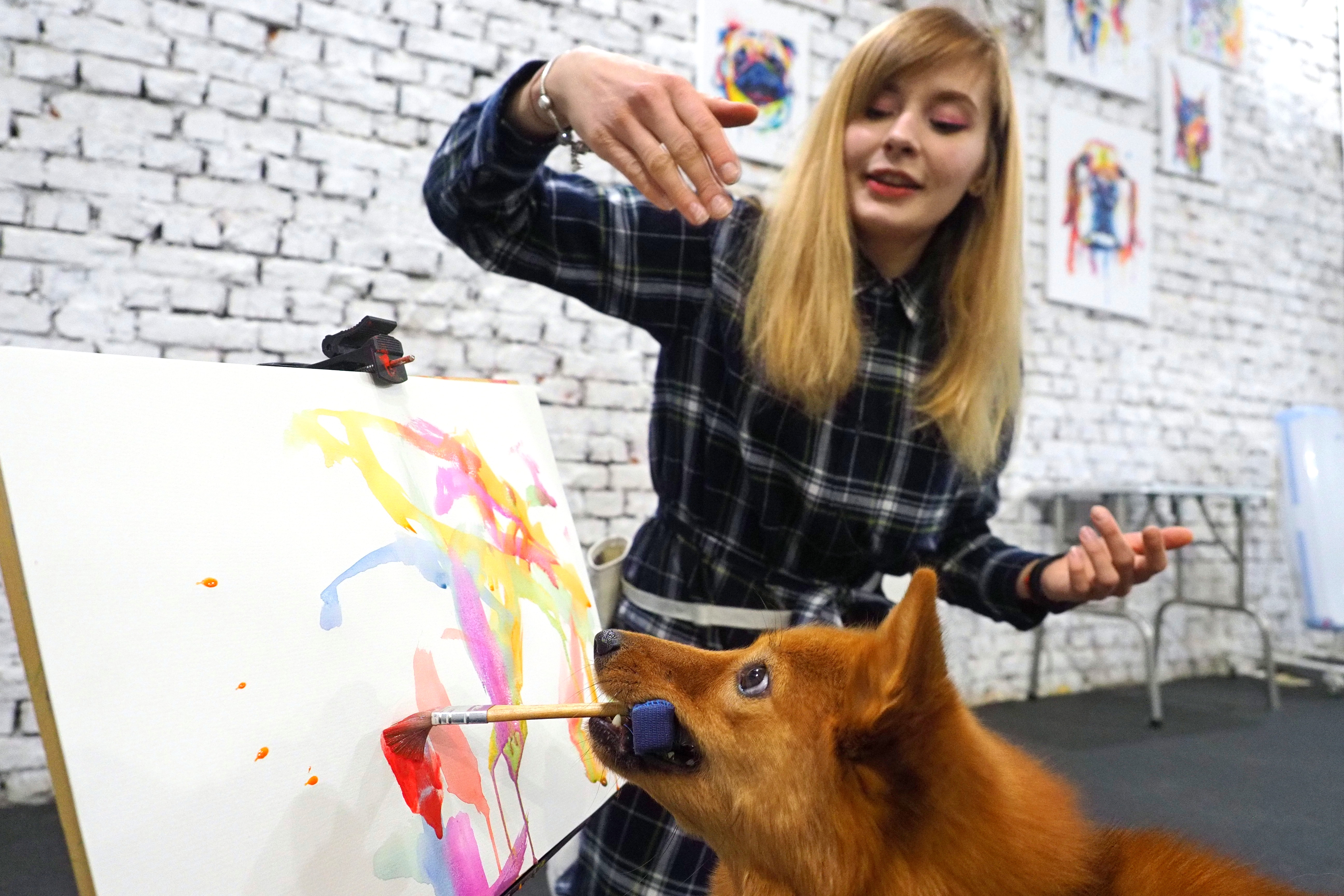 Кинолог рассказал о способности собак выявлять человеческие болезни