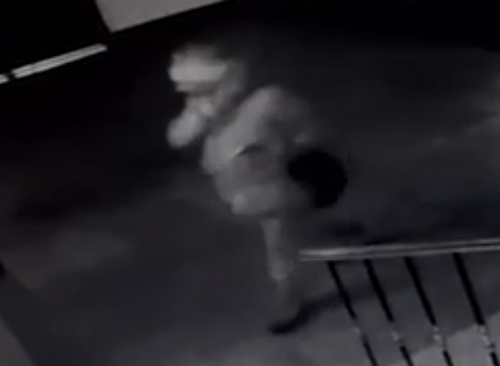 На кадрах видно, как неизвестный в шапке волшебника быстро передвигается из одного зала святыни в другой, после чего выносит сумки с награбленным