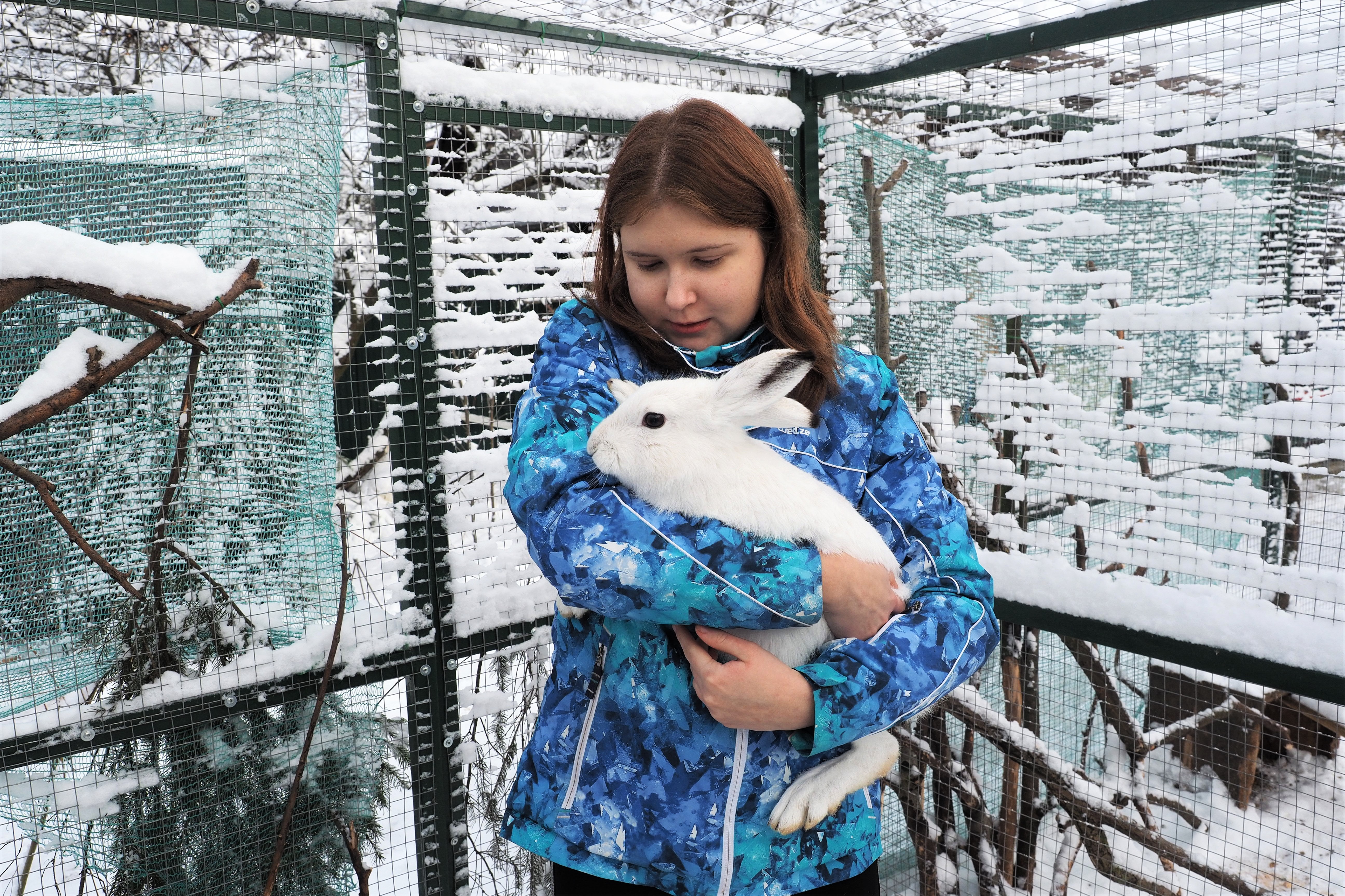 Акцию «Сытый заяц» по подкормке животных во время холодов запустили в Москве