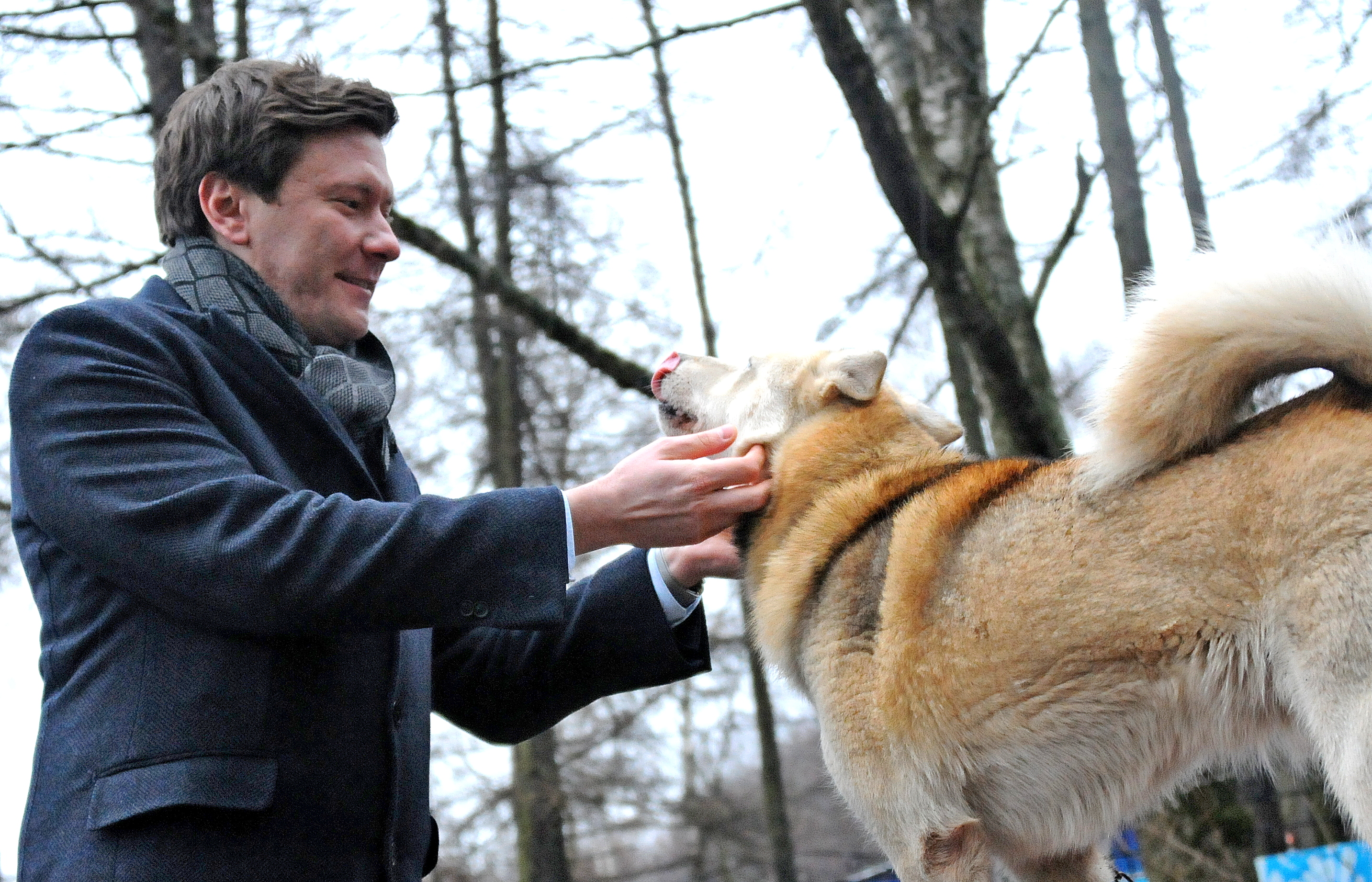 Депутат Московской городской думы Александр Козлов на площадке с хаски. Здесь с собаками только фотографируются, и выглядят они менее усталыми, чем их ездовые сородичи