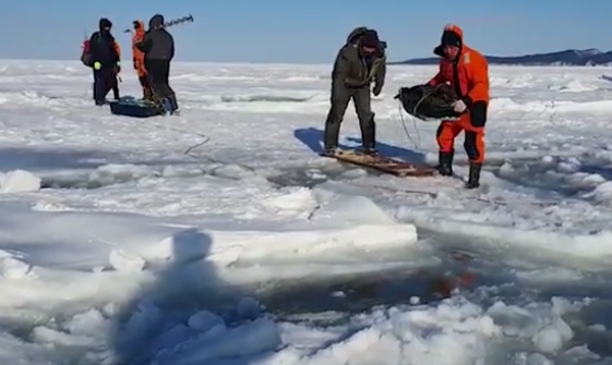 Около 600 рыбаков отрезало от берега на льдине в Сахалинской области