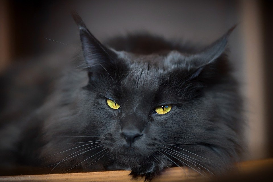 Ритуалы и приметы, касающиеся защиты от дурного глаза, поколениями передаются в народе и не теряют своей силы