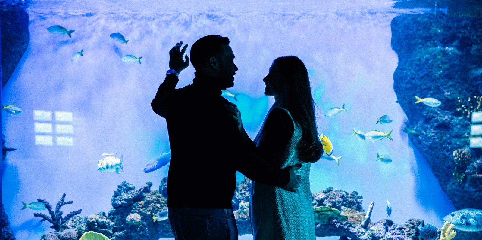 Фестиваль в «Москвариуме» посвятят Дню святого Валентина