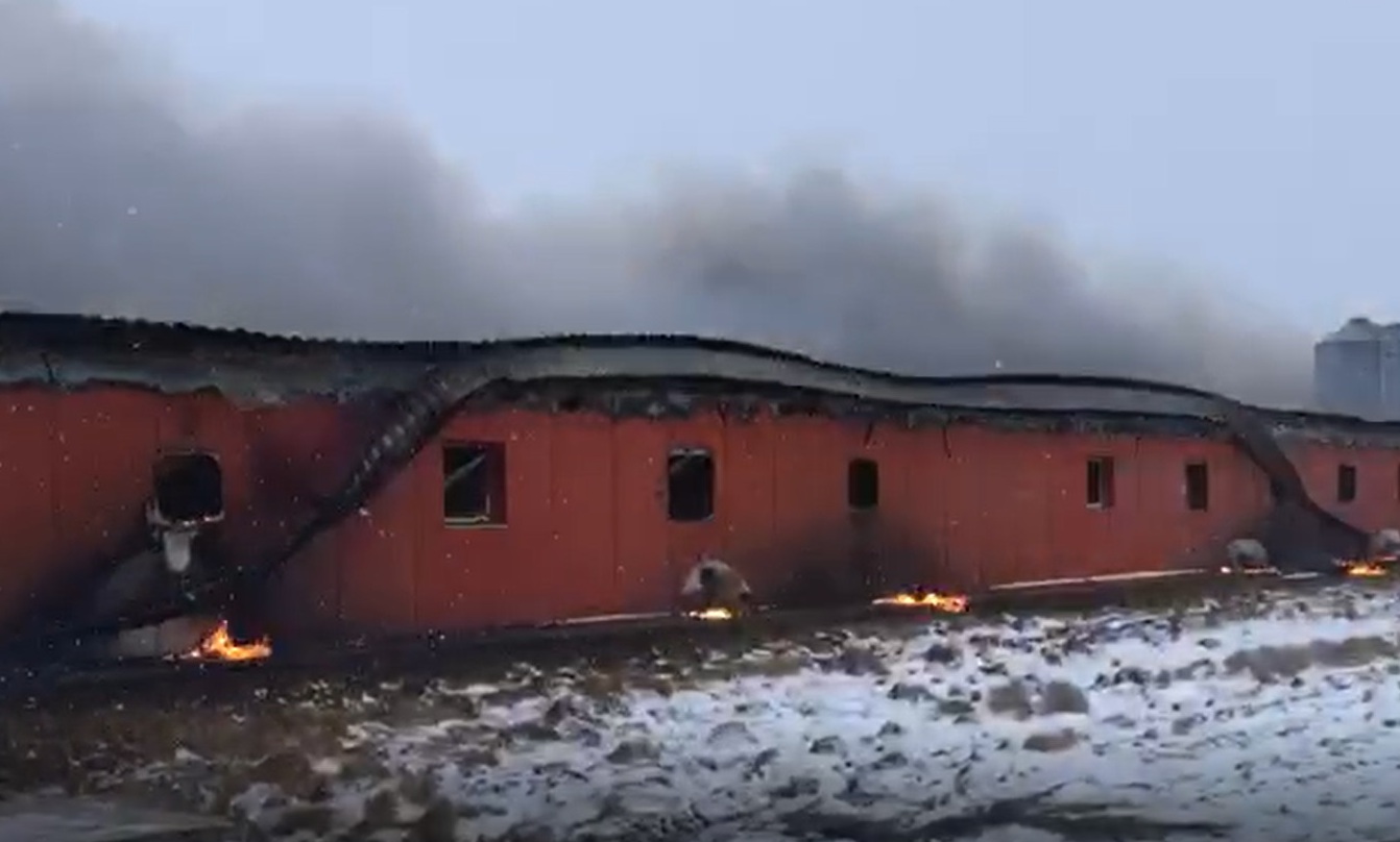 Открытое горение на свиноферме в Можайске ликвидировали