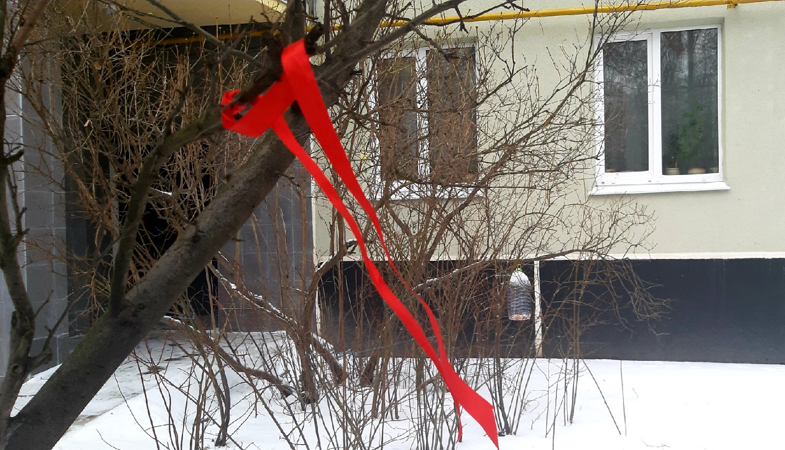 Народный календарь. Что нужно сделать 8 февраля, чтобы исполнилось заветное желание