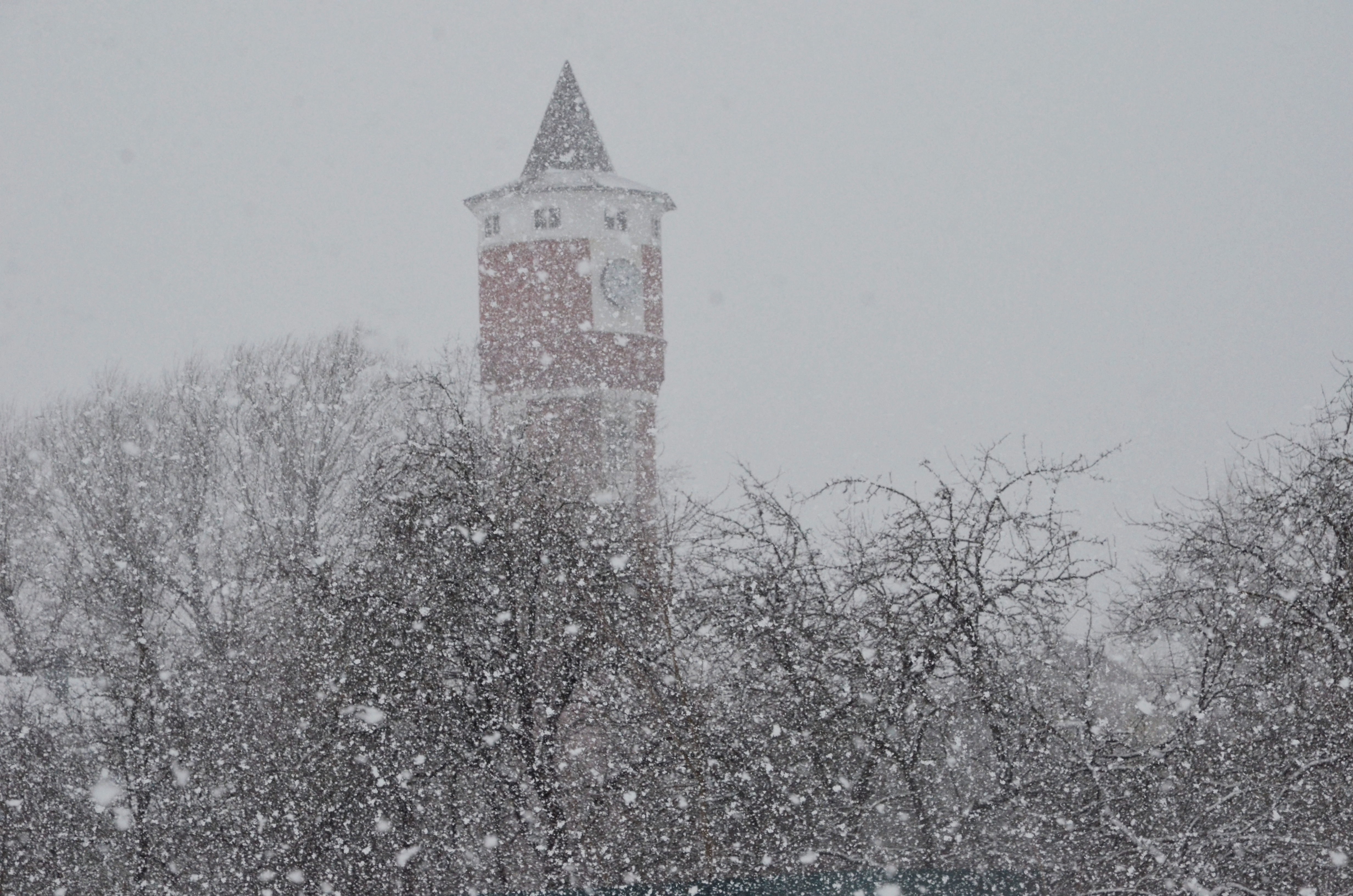 Синоптик предупредил о снегопадах и метелях в центре Европейской России