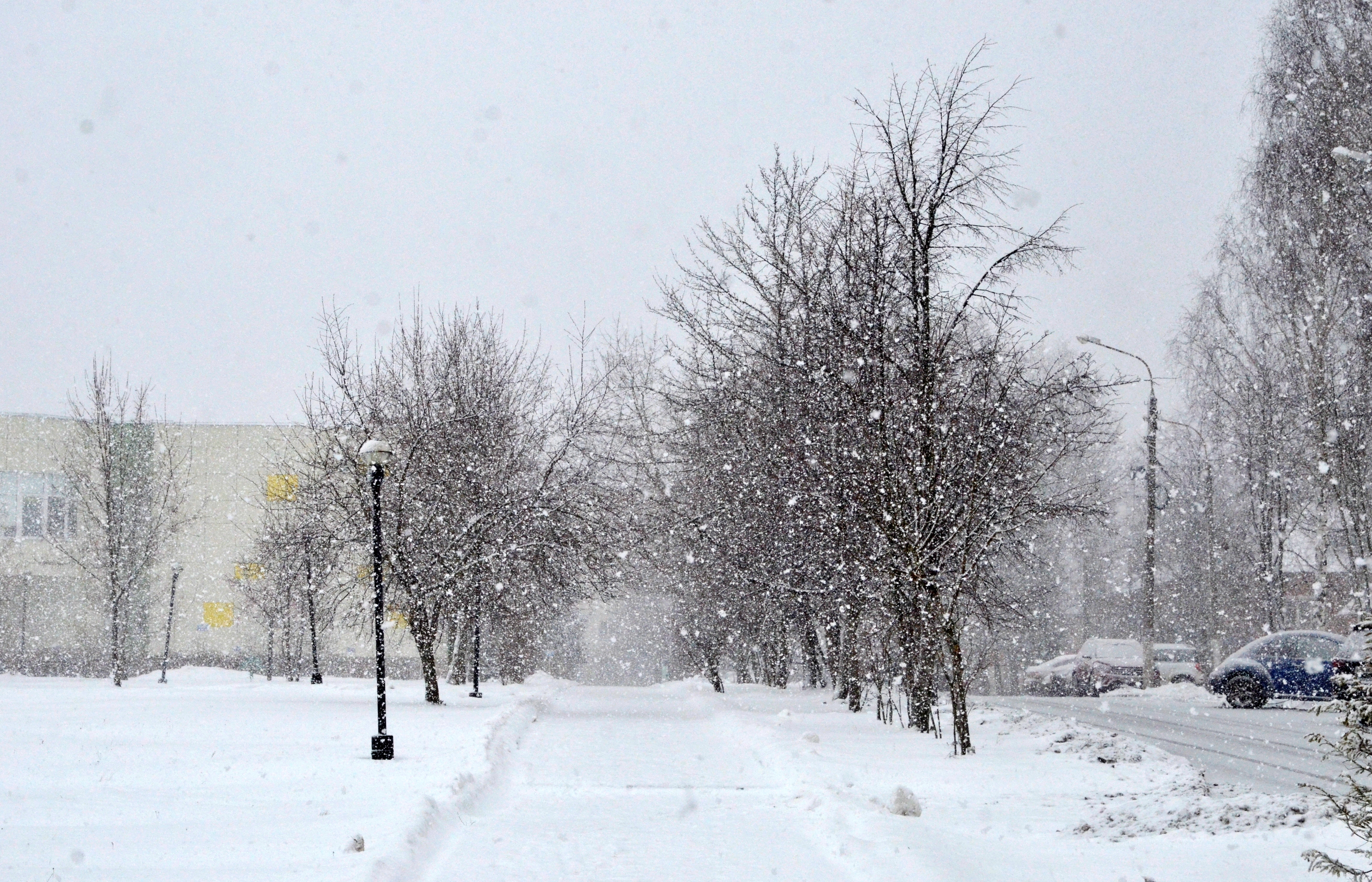 Вильфанд предупредил жителей Европейской России о легких морозах