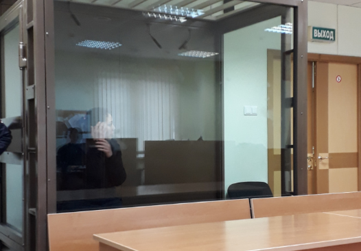 Женщина получила 4,5 года тюрьмы за попытку продать новорожденную дочь