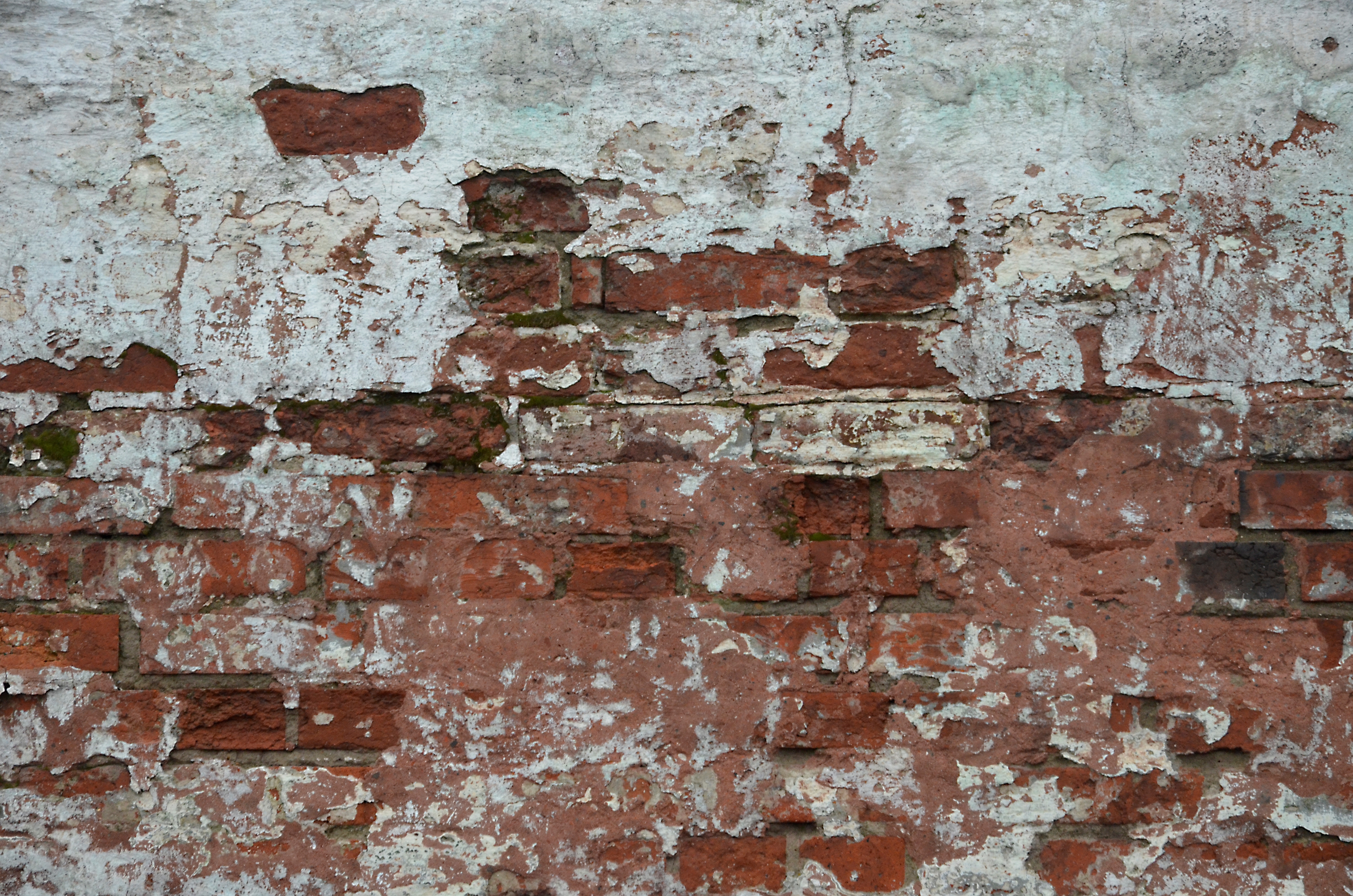 В старинном особняке найдена комната, в которую не заходили более ста лет