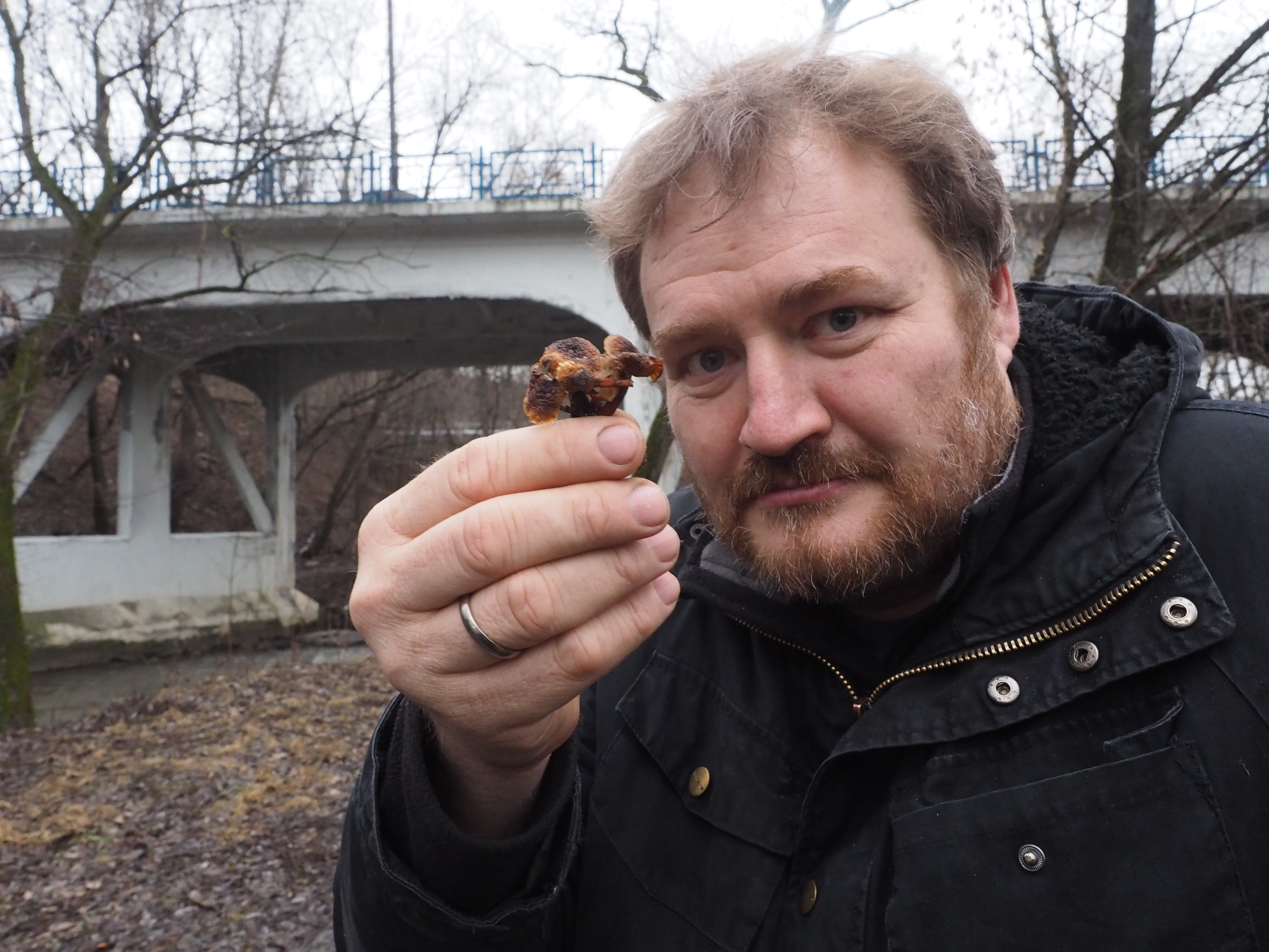 Москвич Сергей Давидяк хвастается найденным у реки Сетуни «зимним грибом». В свежем виде трофей вполне съедобен