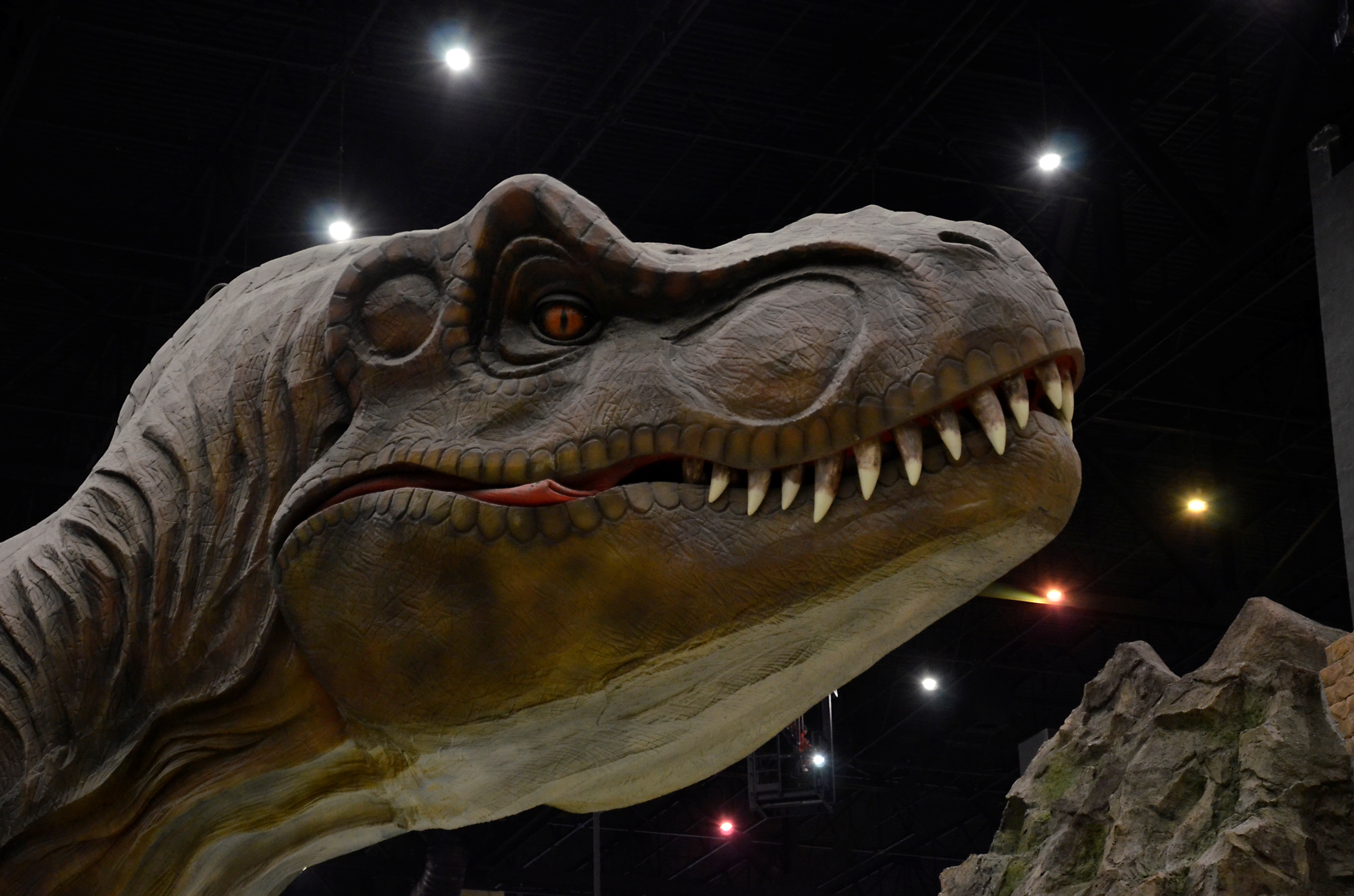 Названа окончательная версия гибели динозавров