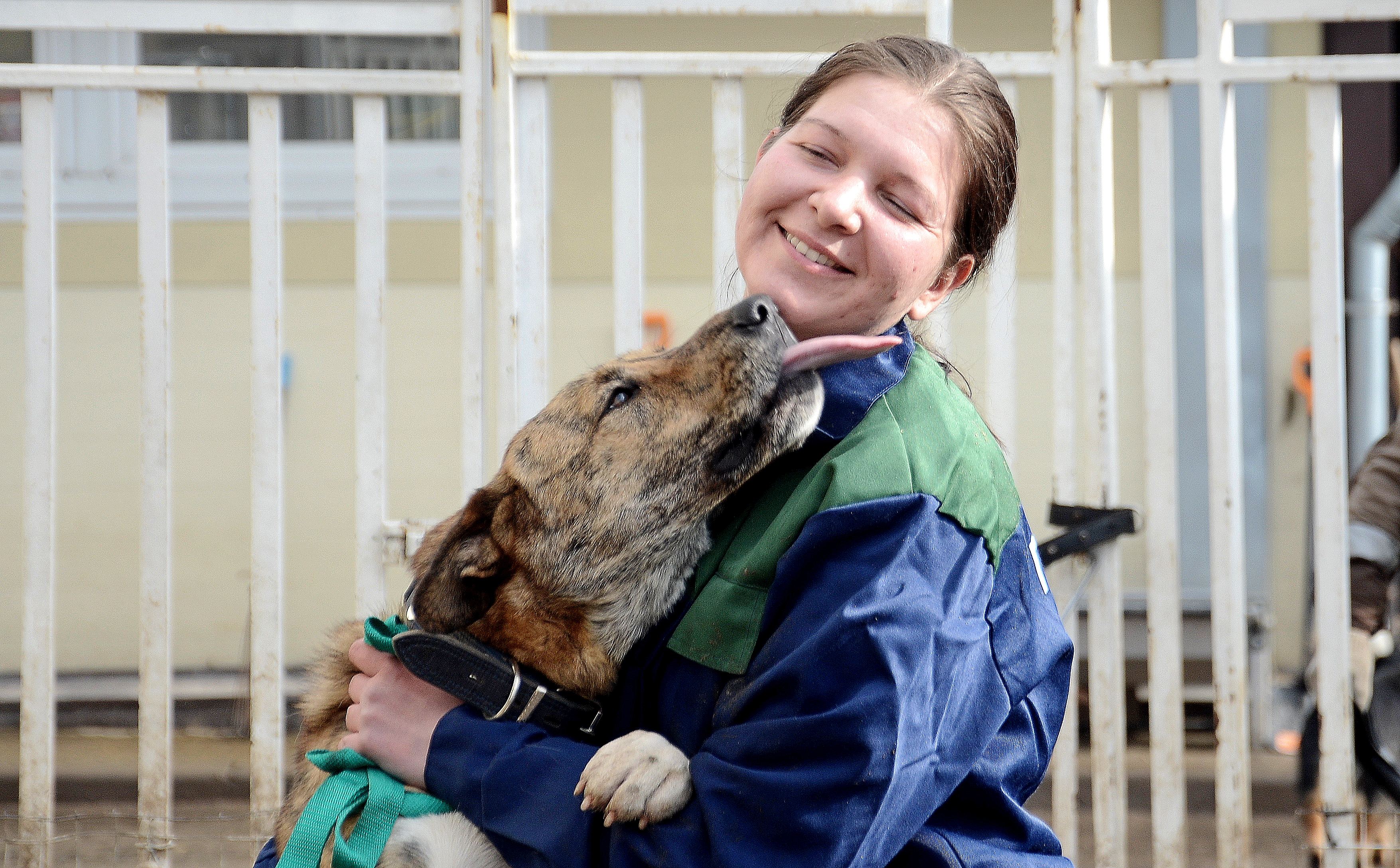 Сотрудница «Доринвеста» Инга Шванькова собирается на прогулку с одной из своих любимиц — доброй и ласковой дворняжкой Боней