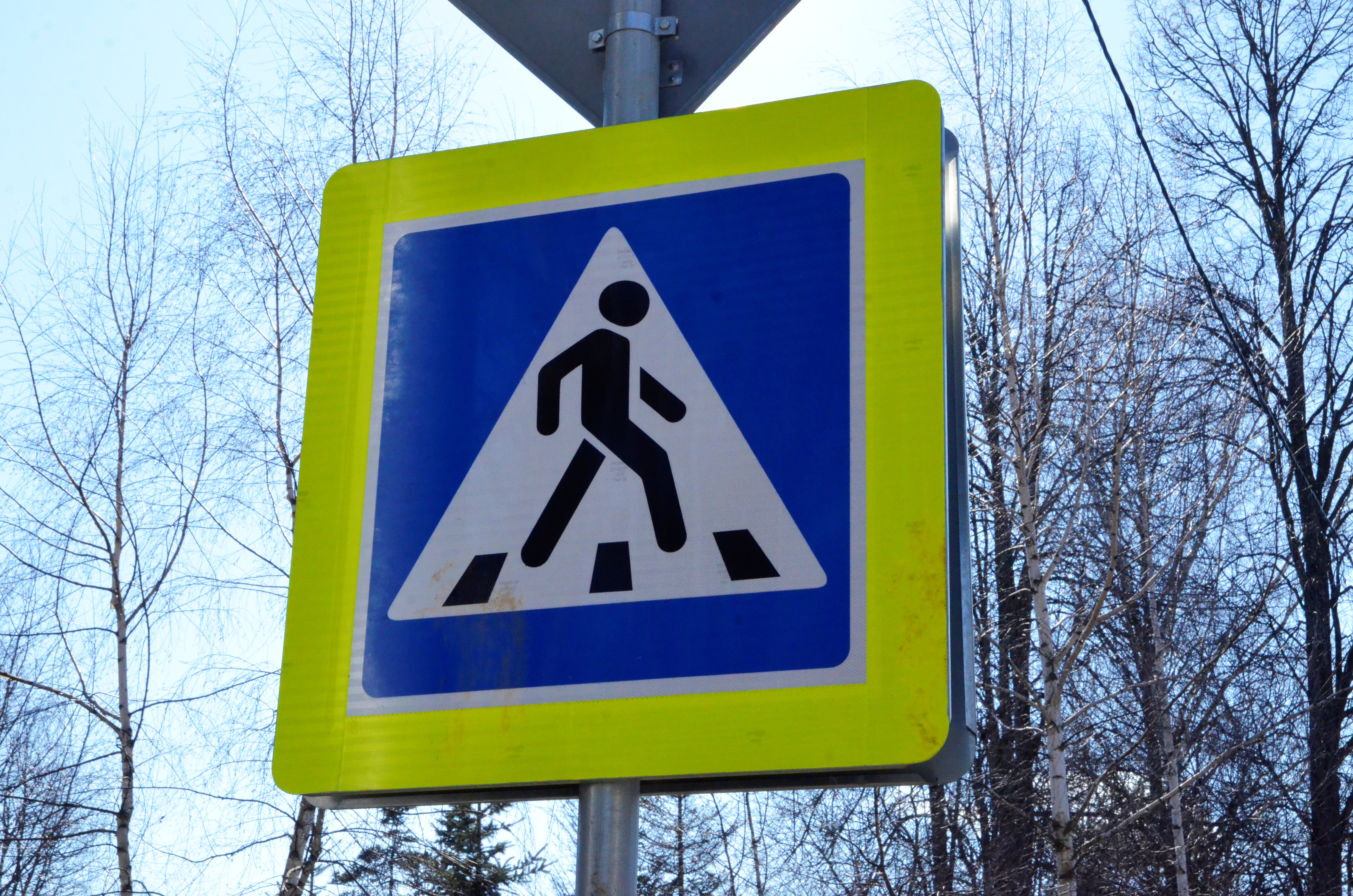 Москвичам рассказали о конкурсах для профилактики аварий с детьми