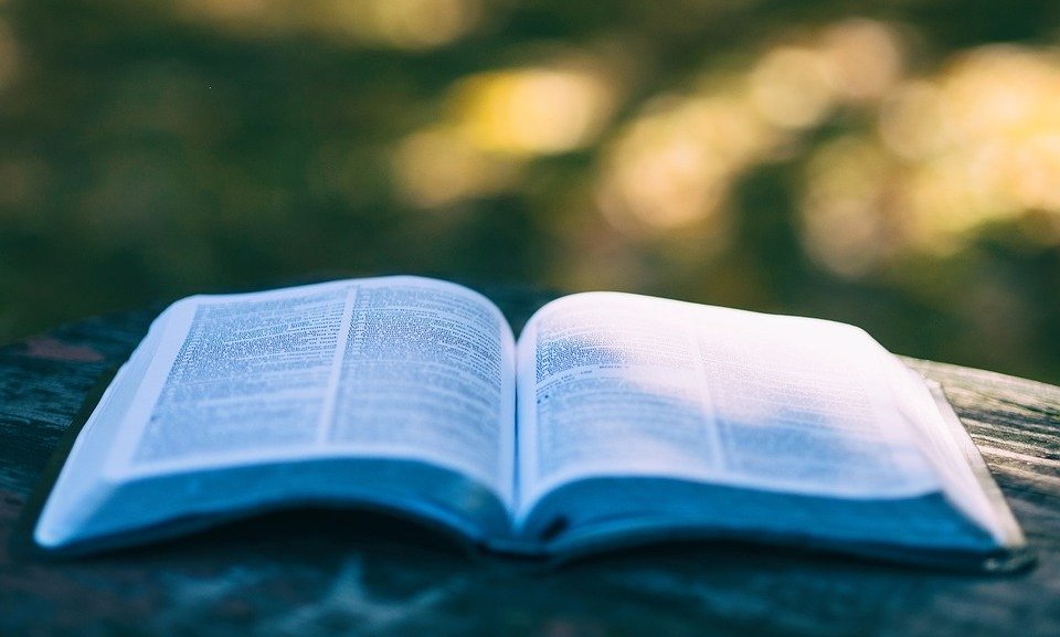 Издание, основанное на документальных источниках, рассказывает о жизни и судьбах московских ополченцев