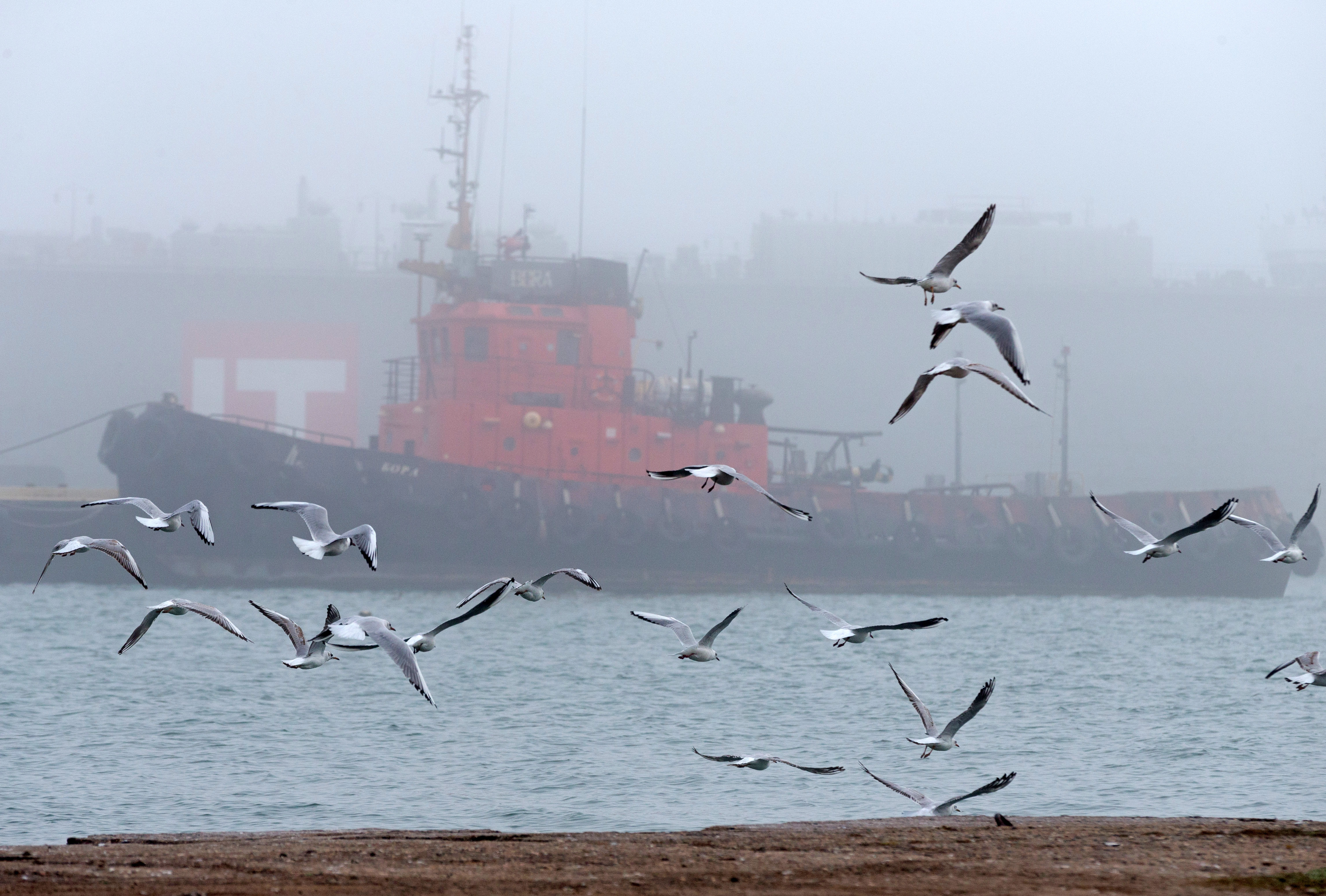 Политологи объяснили желание экс-дипломатов США воспользоваться COVID-19 для возвращения Крыма