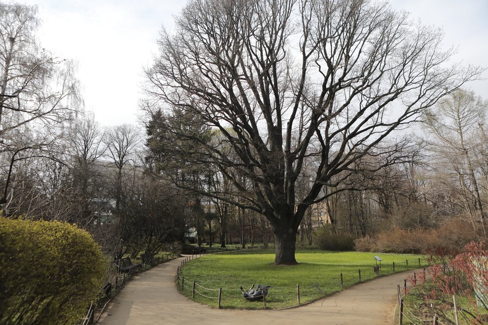 Ландшафтный парк с водоемом появится на юго-востоке Москвы