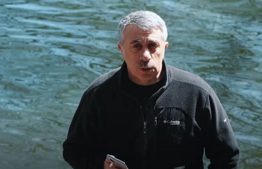 Доктор Комаровский объяснил, как тараканы могут стать переносчиками коронавируса