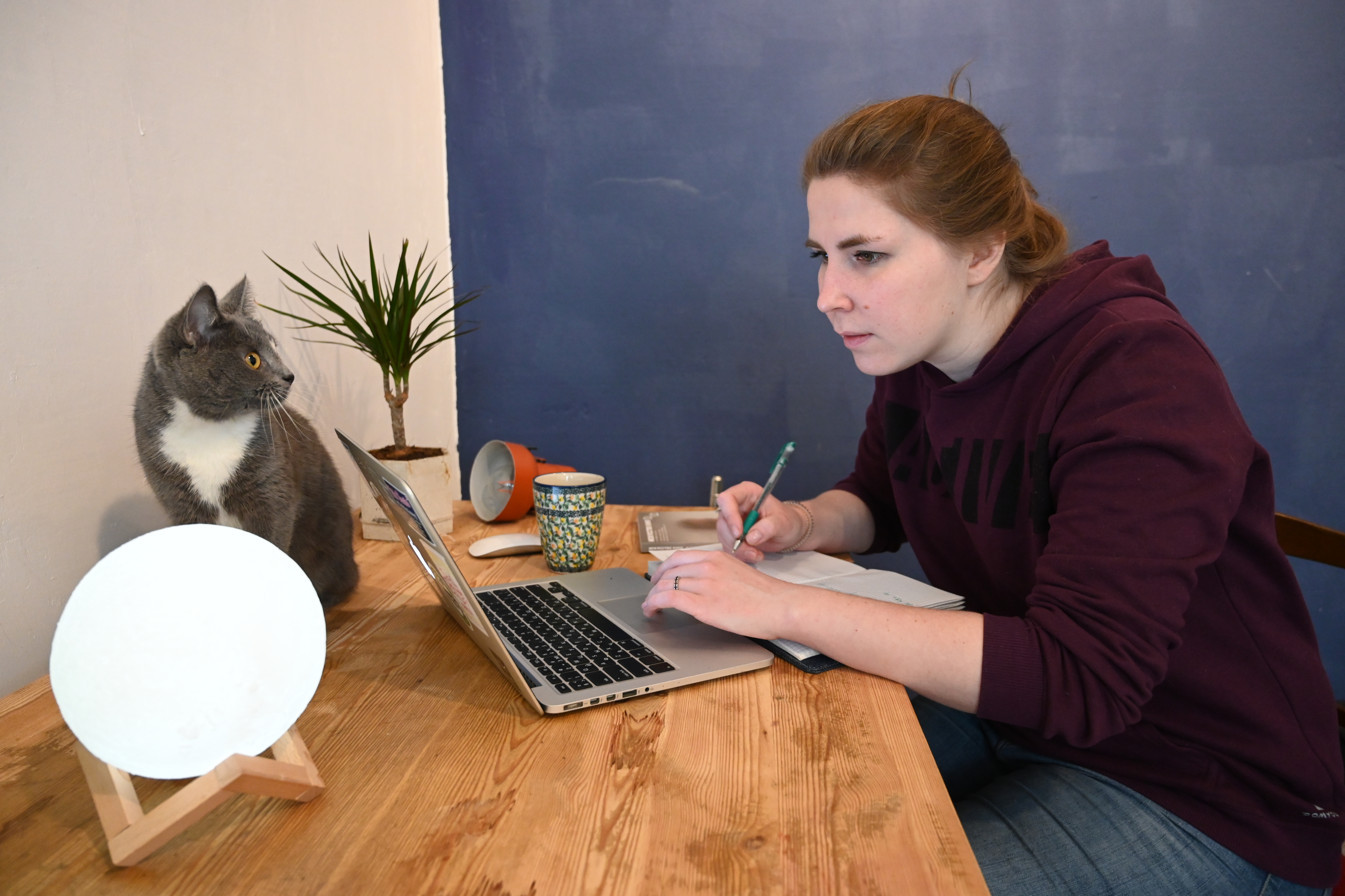 Россияне смогут вернуть потраченные на удаленке средства