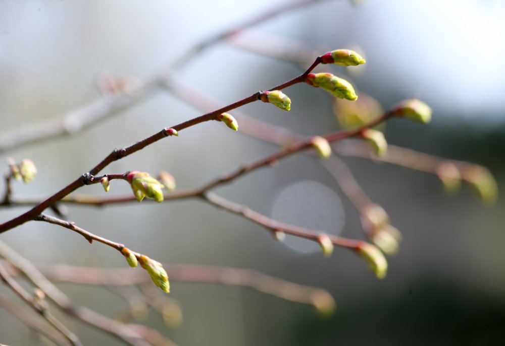 Отопительный сезон в Москве не завершится до конца марта