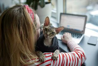 Россияне назвали главные минусы удаленки