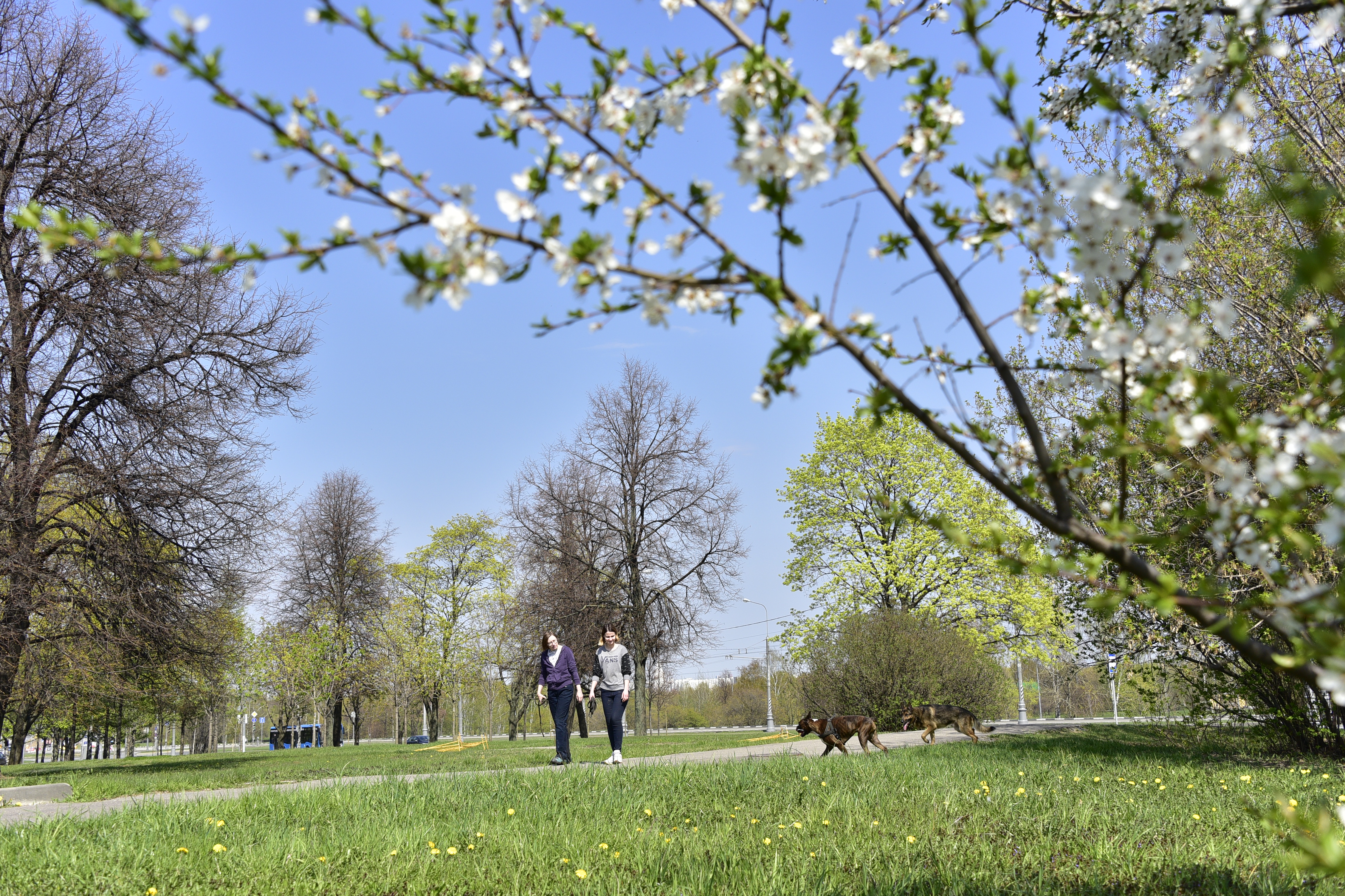 «Может возникнуть рак кожи»: врач предупредила об опасности солнечных дней в мае 