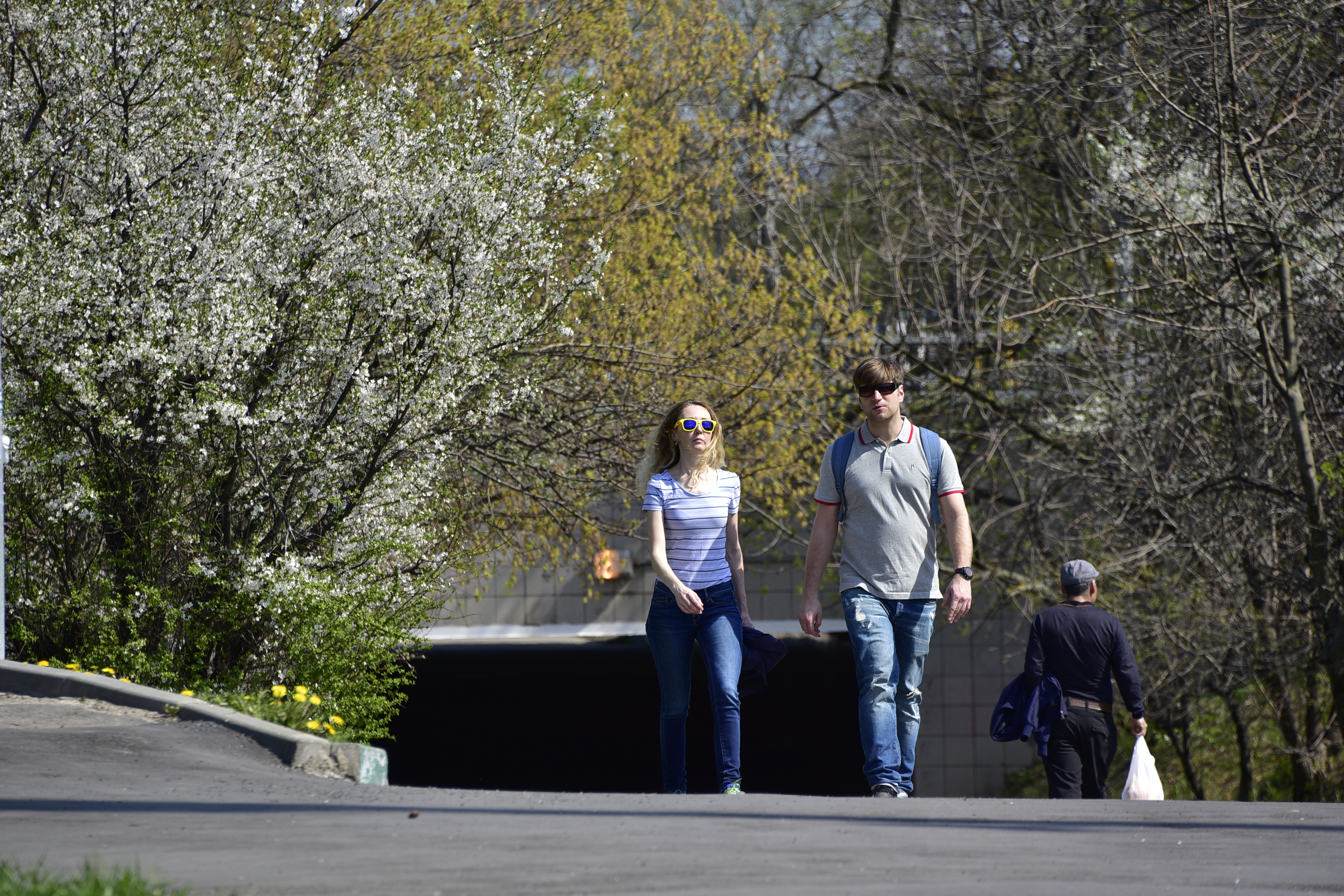 Москвичи с 1 июня будут гулять по месту прописки