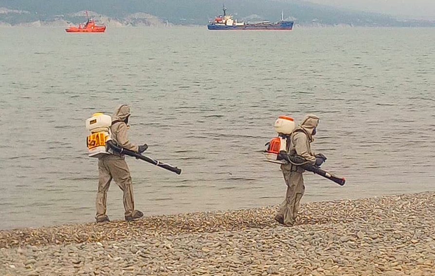 Власти Новороссийска опровергли сообщение о дезинфекции пляжной гальки