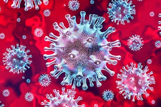 Раскрыт неизвестный механизм заражения коронавирусом