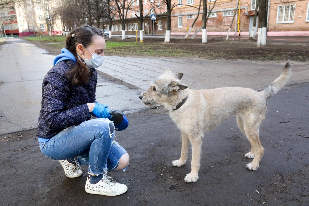 Роспотребнадзор оценил знания россиян о профилактике COVID-19