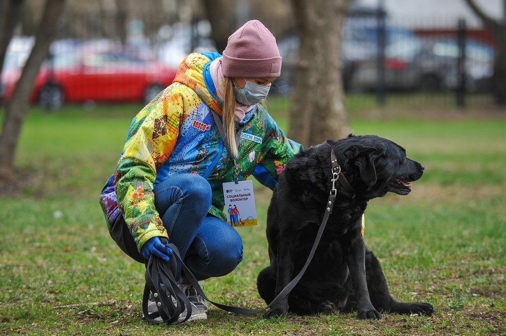 Кинологи составили топ-5 пород собак, которые лучше всех поддаются дрессировке