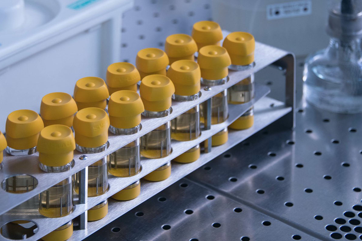 Число зараженных коронавирусом в мире превысило четыре миллиона человек