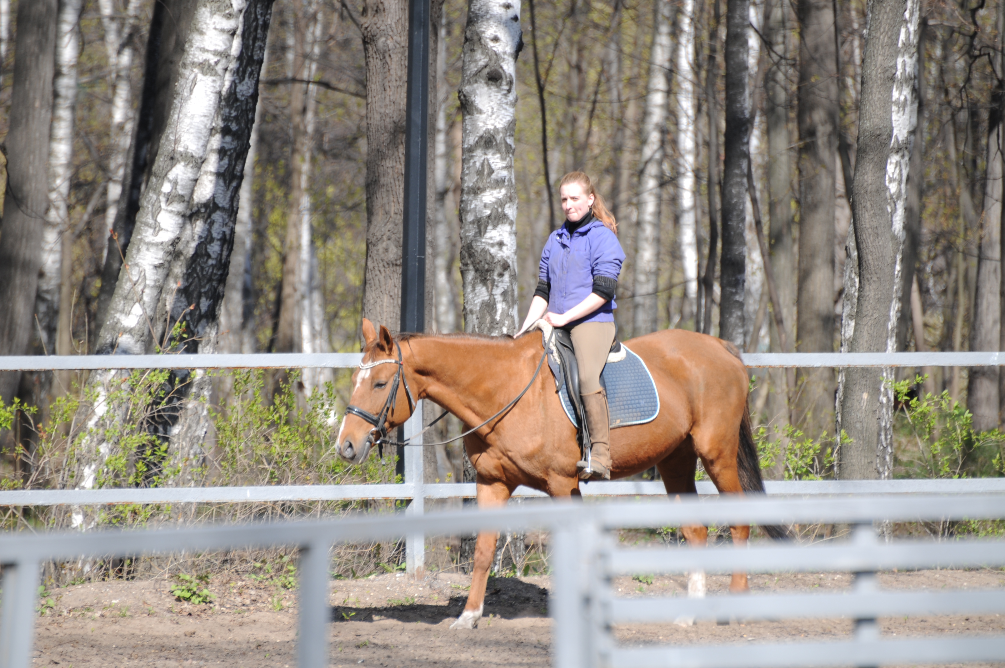Синоптики рассказали о погоде в Москве 29 марта