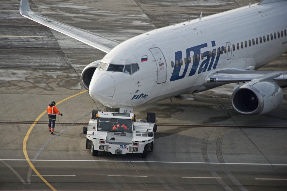 Стая птиц врезалась в летевший из Москвы лайнер при посадке в Магасе