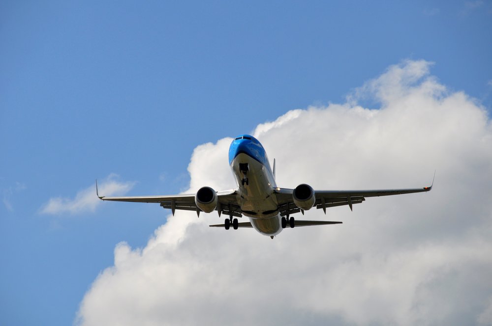 В АТОР рассказали, когда россияне полетят в Египет 