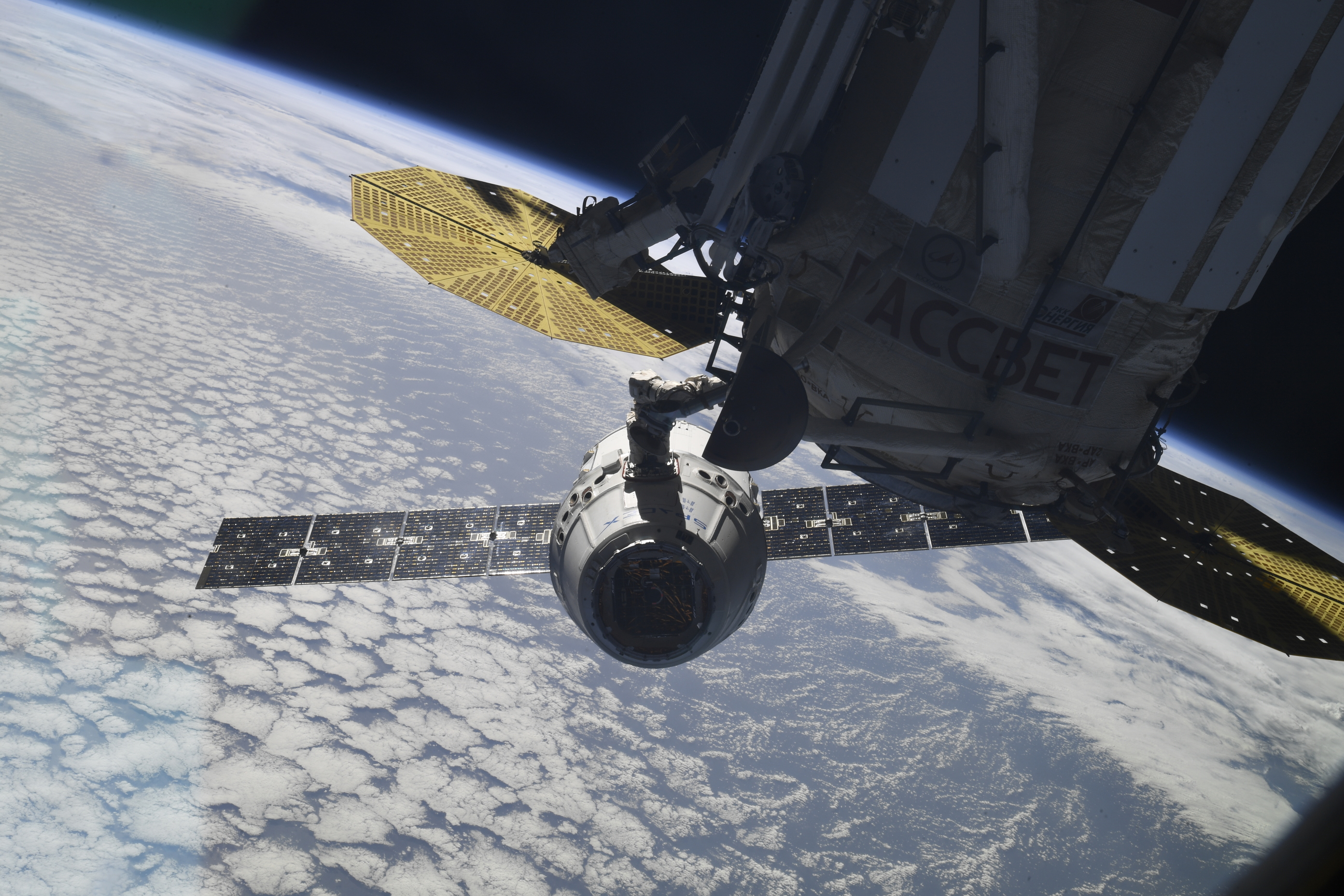 В Роскосмосе перечислили три главных недостатка корабля Илона Маска