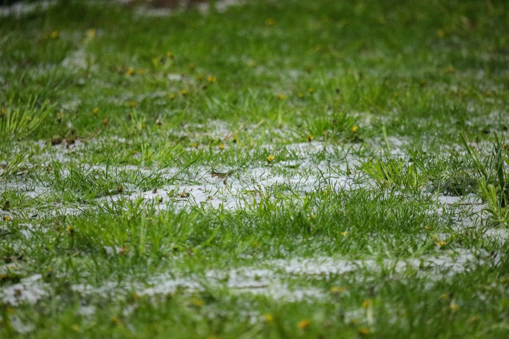 Москвичам пообещали первый снег в ближайшие выходные