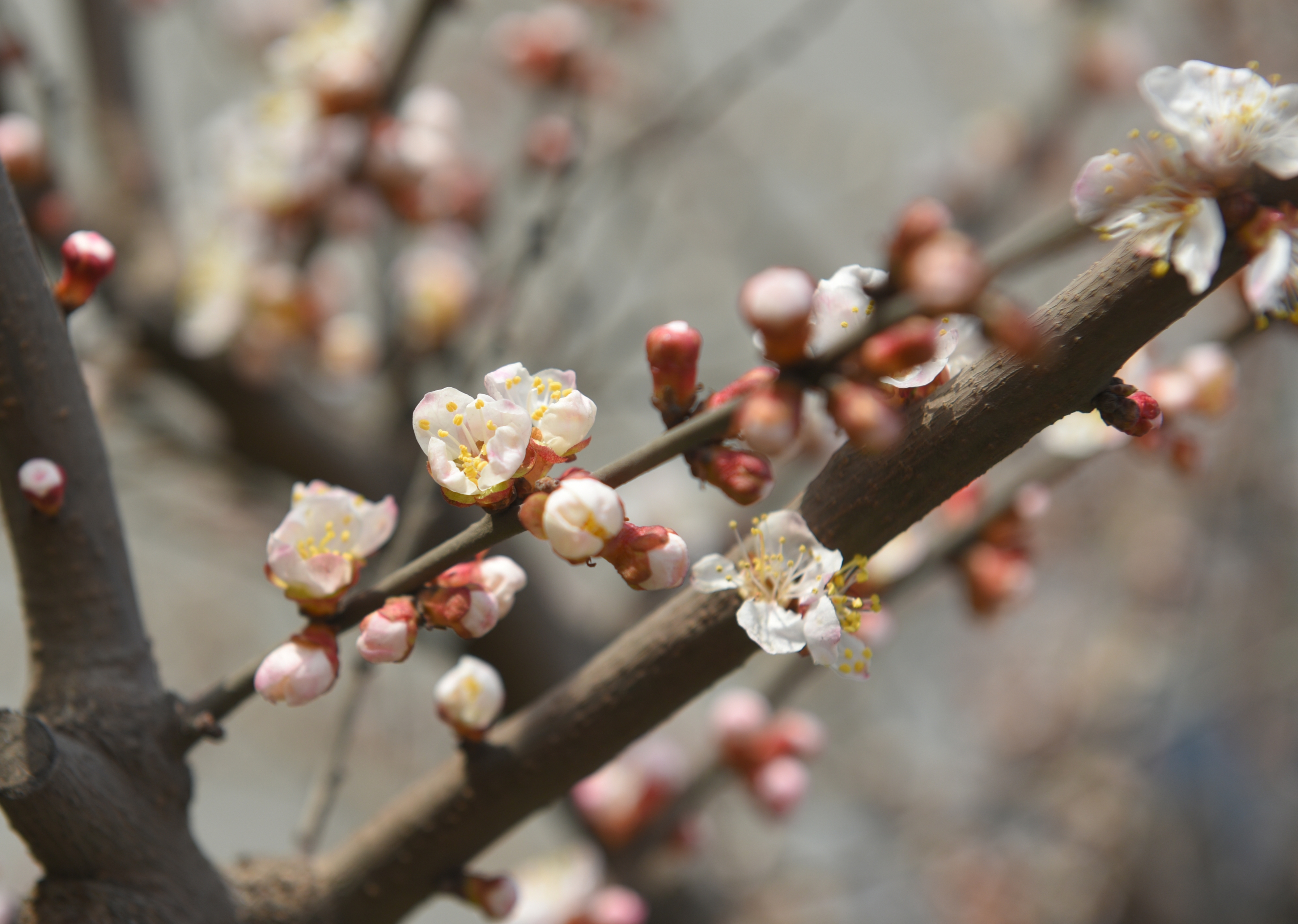 Синоптик рассказал, какой будет весна в Москве