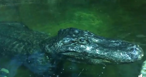 Сатурн прожил долгую и полную событий жизнь