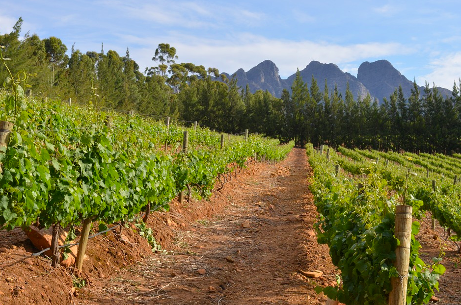 Ученые рассказали о возможном местоположении Эдемского сада